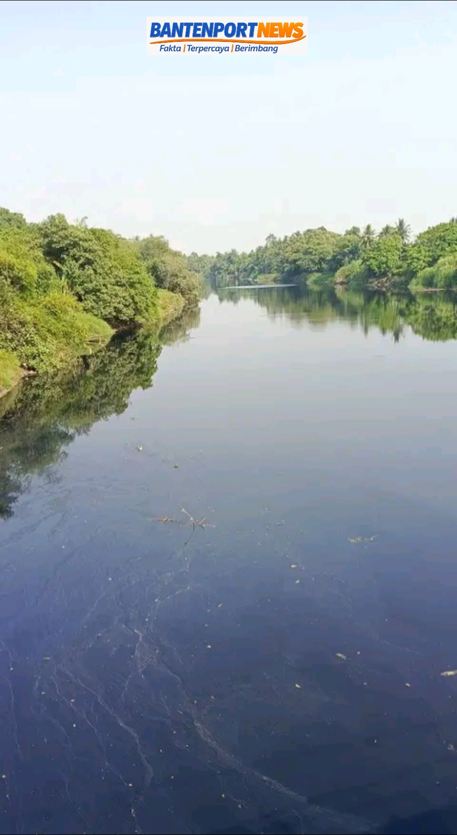 DLHK Banten: Pencemaran Sungai Ciujung Didominasi Limbah Domestik, Ada Indikasi Buangan dari Perusahaan